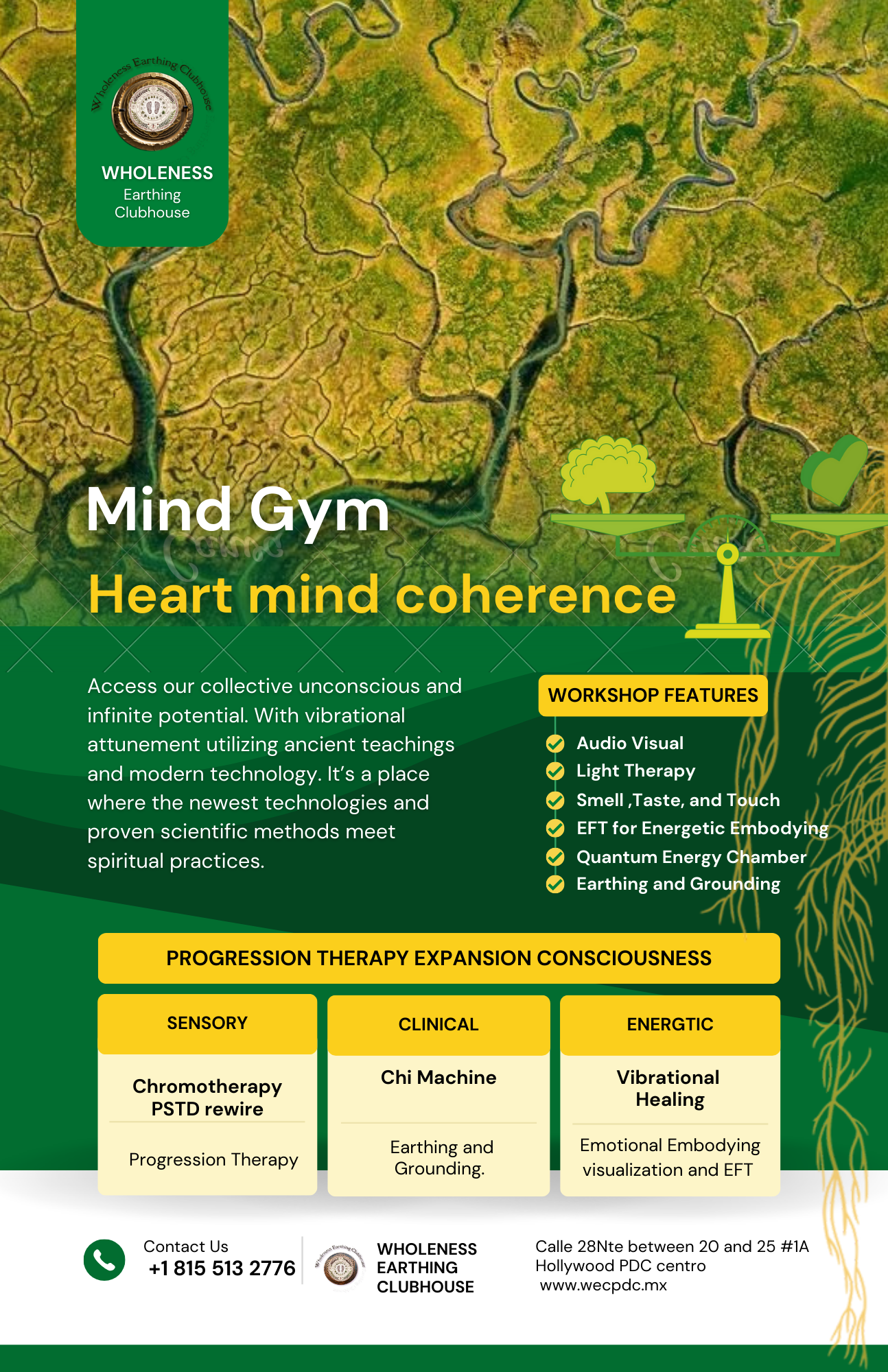 Mind Gym heart and mind coherence Chroma therapy, ancient meets technology, vibrational attunement, and daily mind and body hacks.